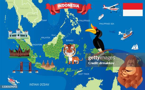 indonesien karte - kalimantan stock-grafiken, -clipart, -cartoons und -symbole