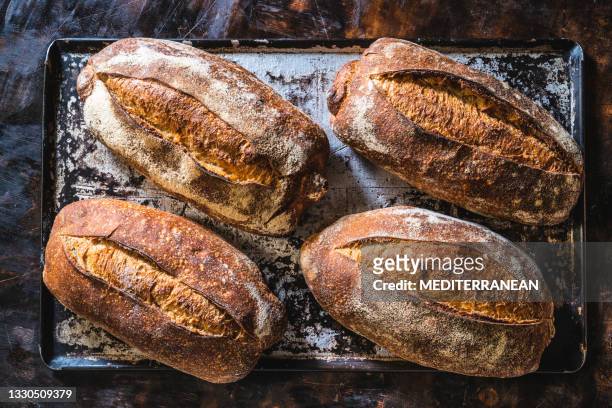 four sourdough bread loaves in a baking tray handmade just baked - artisanal food and drink stock pictures, royalty-free photos & images