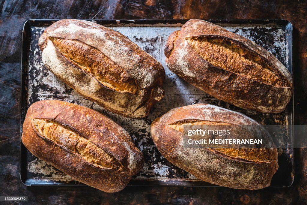 Quatro pães azedos em uma assadeira feita à mão apenas assado