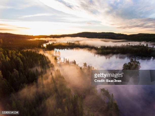 aerial view - sunrise in the forest - buskerud stock pictures, royalty-free photos & images