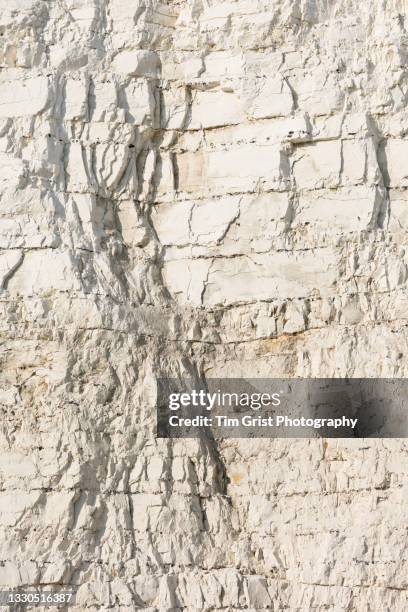 chalk rock face of the seven sisters cliffs, east sussex, uk - kalksteen stockfoto's en -beelden