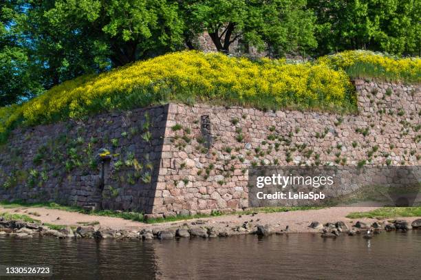 vyborg castle wall - retaining wall stock pictures, royalty-free photos & images