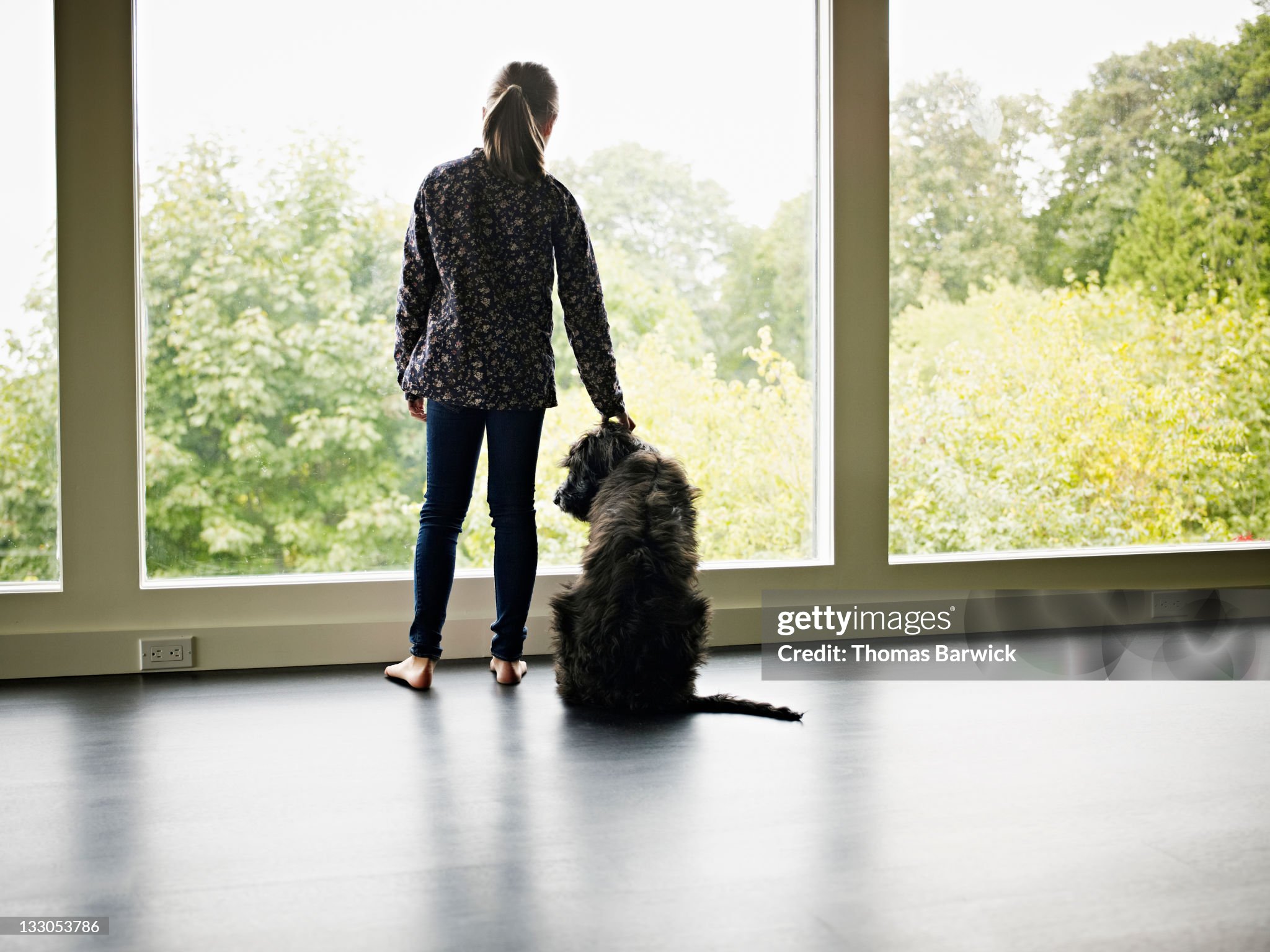 7 actividades para disfrutar en casa con mi perro fiel.