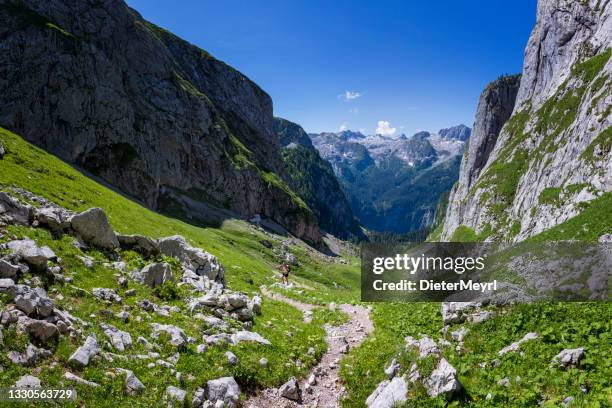 senderismo de la mujer, parque nacional de las montañas berchtesgaden, alemania - alpes de bavaria fotografías e imágenes de stock