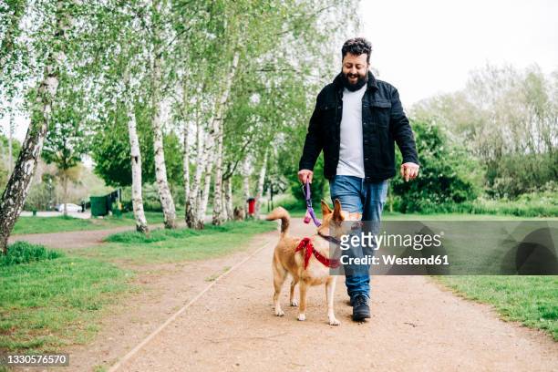 smiling man walking with dog on footpath at park - middle age man and walking the dog stock pictures, royalty-free photos & images