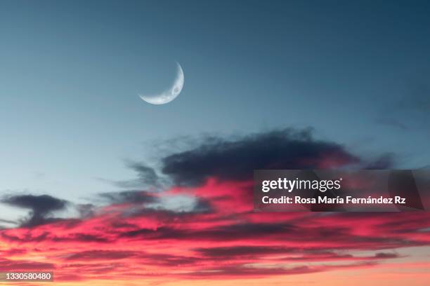 fluffy pink, purple and grey clouds with crescent moon during sunset. cumulus congestus clouds - crescent imagens e fotografias de stock