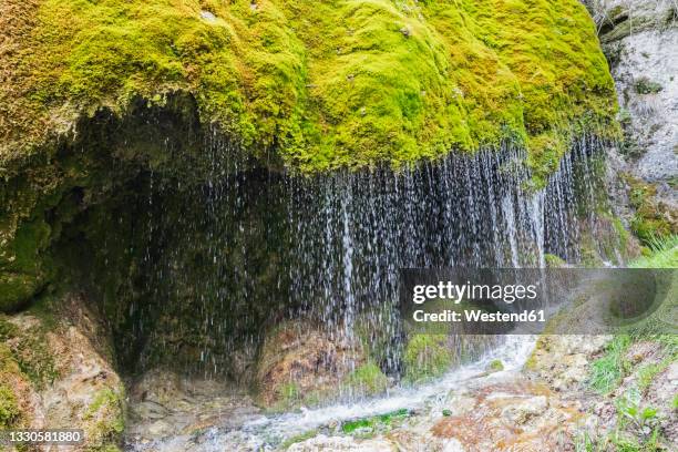 dreimuhlen waterfall falling down mossy slope - eifel stock pictures, royalty-free photos & images