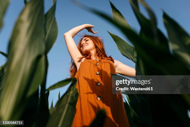 smiling young woman enjoying in corn field - vista de ángulo bajo fotografías e imágenes de stock