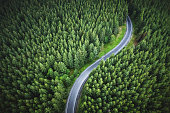 aerial view of the mountain road in a green forest