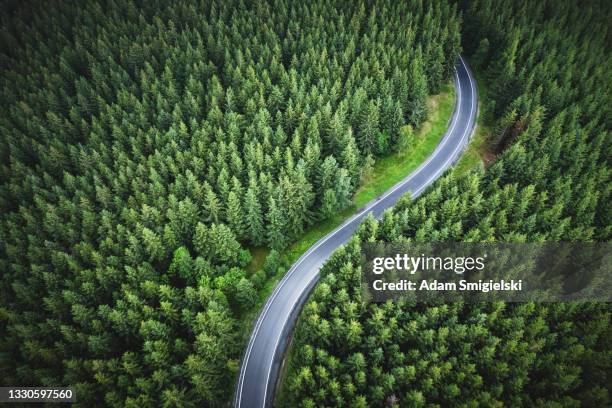 aerial view of the mountain road in a green forest - foggy road stock pictures, royalty-free photos & images