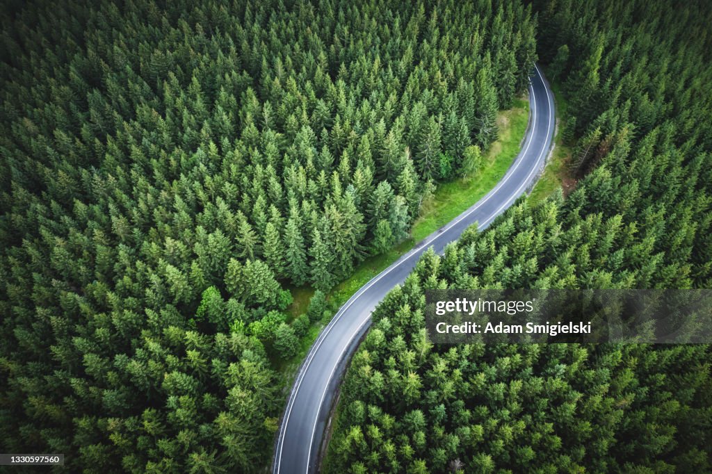 Aerial view of the mountain road in a green forest