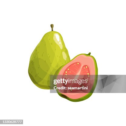 Guava Vector High Resolution Guava Fruit Vector Tropical Plant Fresh Product High-Res Vector Graphic ...