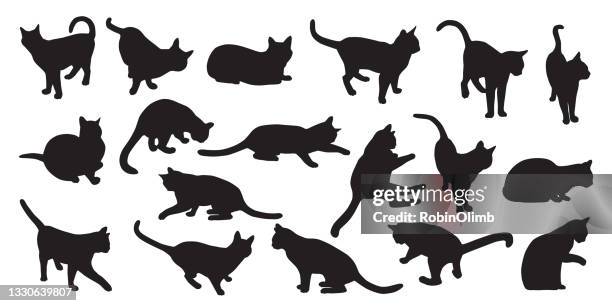 stockillustraties, clipart, cartoons en iconen met collection of cat silhouettes - staartjes