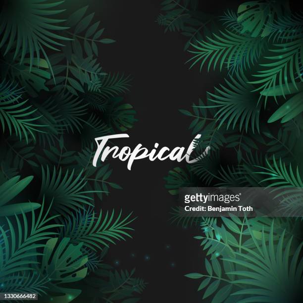 illustrations, cliparts, dessins animés et icônes de fond tropical avec des feuilles de palmier - foret vierge
