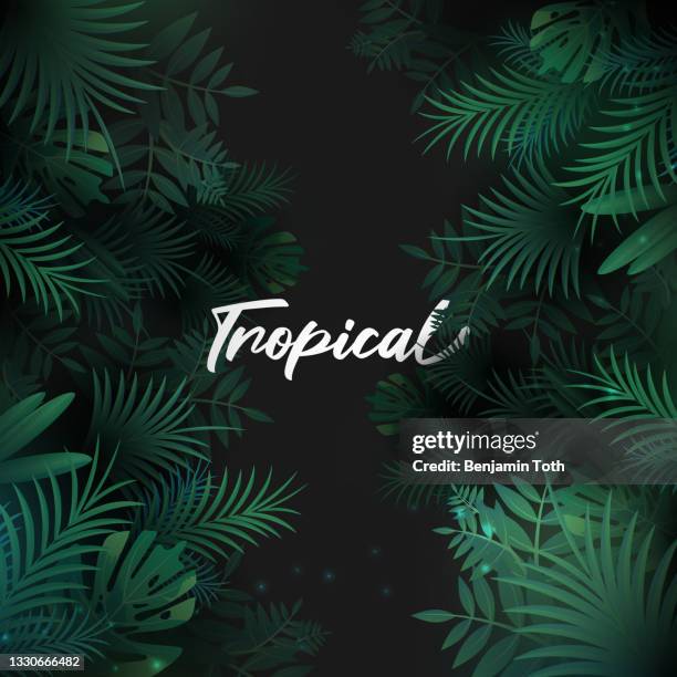 illustrazioni stock, clip art, cartoni animati e icone di tendenza di sfondo tropicale con foglie di palma - foresta pluviale