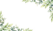 Watercolor vector card of green branches and leaves isolated on a white background. Flower hand painted illustration for greeting cards, wedding invitations, banner with space for text and more.