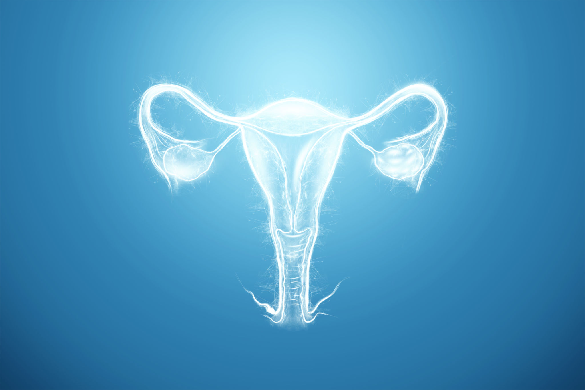 Hologram of the female organ of the uterus on a blue background. Ultrasound concept, gynecology, obstetrics, ovulation, pregnancy. 3D illustration, 3D render. Hologram of the female organ of the uterus on a blue background. Ultrasound concept, gynecology, obstetrics, ovulation, pregnancy. 3D illustration, 3D render.