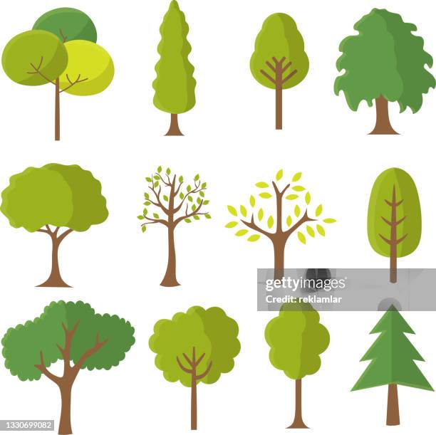 bildbanksillustrationer, clip art samt tecknat material och ikoner med various tree vectors. forest and nature concept. collection of different tree symbols. education and training poster design. vector drawn for plant and tree presentation. - tallträd