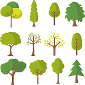 Various tree vectors. Forest and nature concept. Collection of different tree symbols. Education and training poster design. Vector drawn for plant and tree presentation.