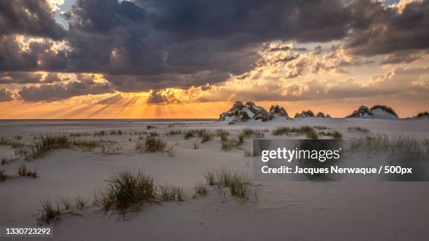 scenic view of desert against sky during sunset,amrum,germany - amrum stock-fotos und bilder