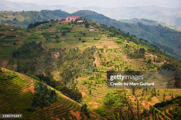 Farms In Rwanda 928 Rwanda Farm Stock Photos, High-Res Pictures, and Images - Getty Images