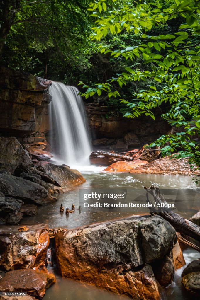 Scenic view of waterfall in forest