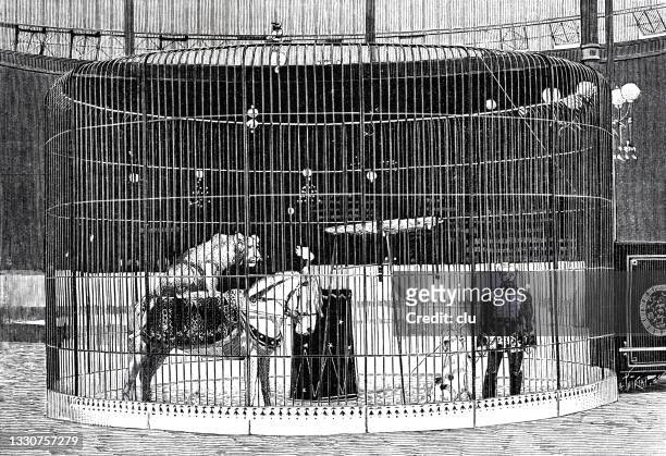 bildbanksillustrationer, clip art samt tecknat material och ikoner med exercise of a trained lion on a horse in the hippodrome de paris - världsutställningen 1889