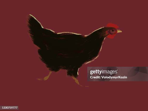 picturesque illustration of a black chicken - scared chicken stock illustrations