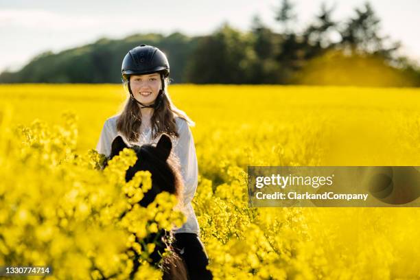 horseriding in a canola field. - riding hat stock pictures, royalty-free photos & images