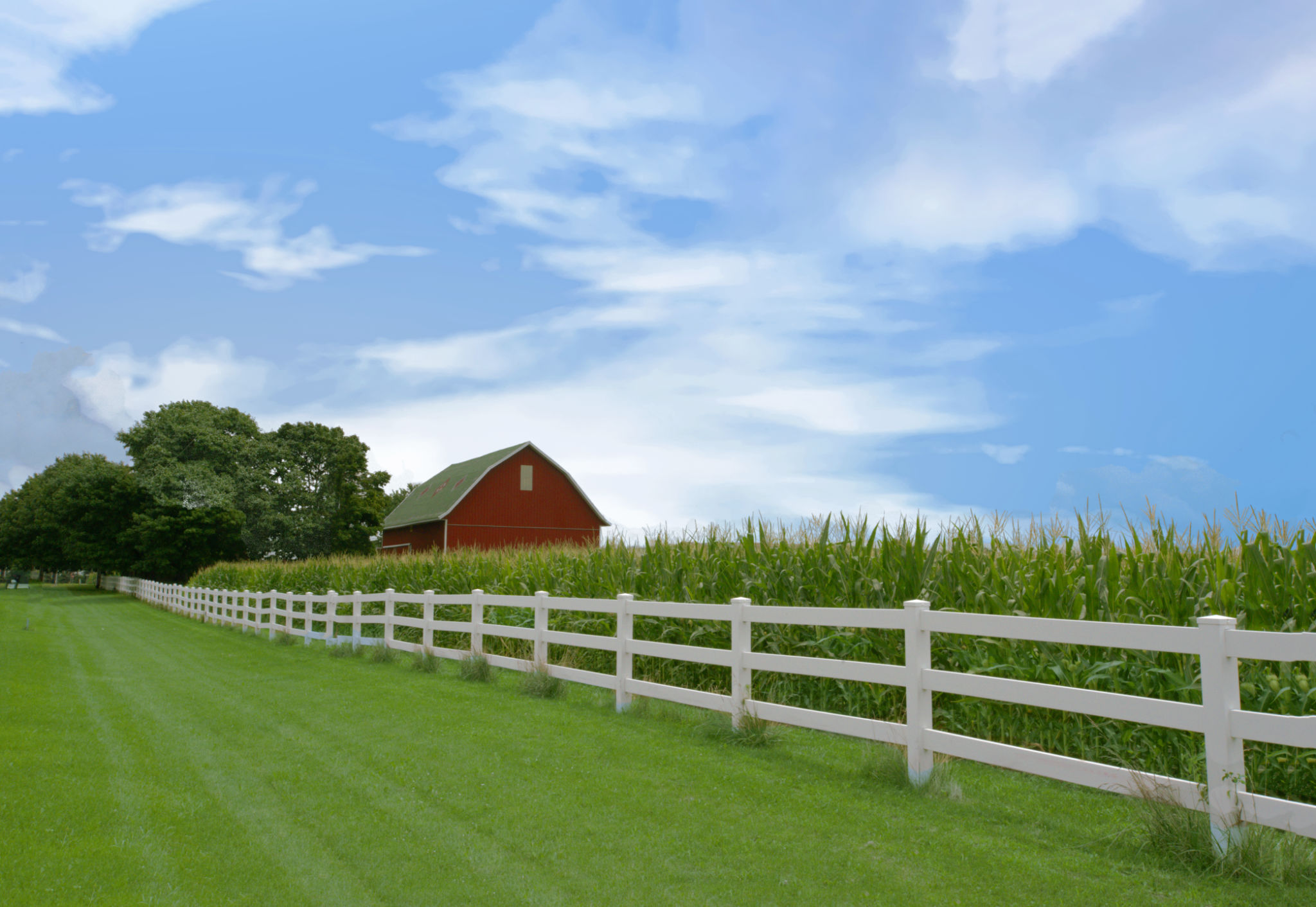 Fence and Corn field with barn in background-Owen County, Indiana Fence and Corn field with barn in background-Owen County, Indiana