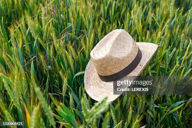 straw hat placed on cereals - strohhut stock-fotos und bilder