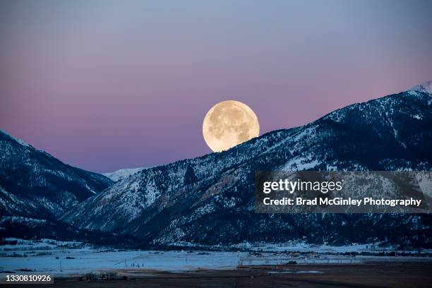 full moon at cottonwood pass - luna piena foto e immagini stock