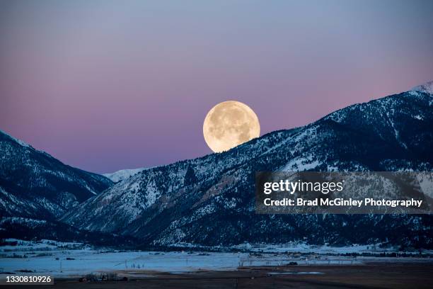 full moon at cottonwood pass - buena vista stock pictures, royalty-free photos & images