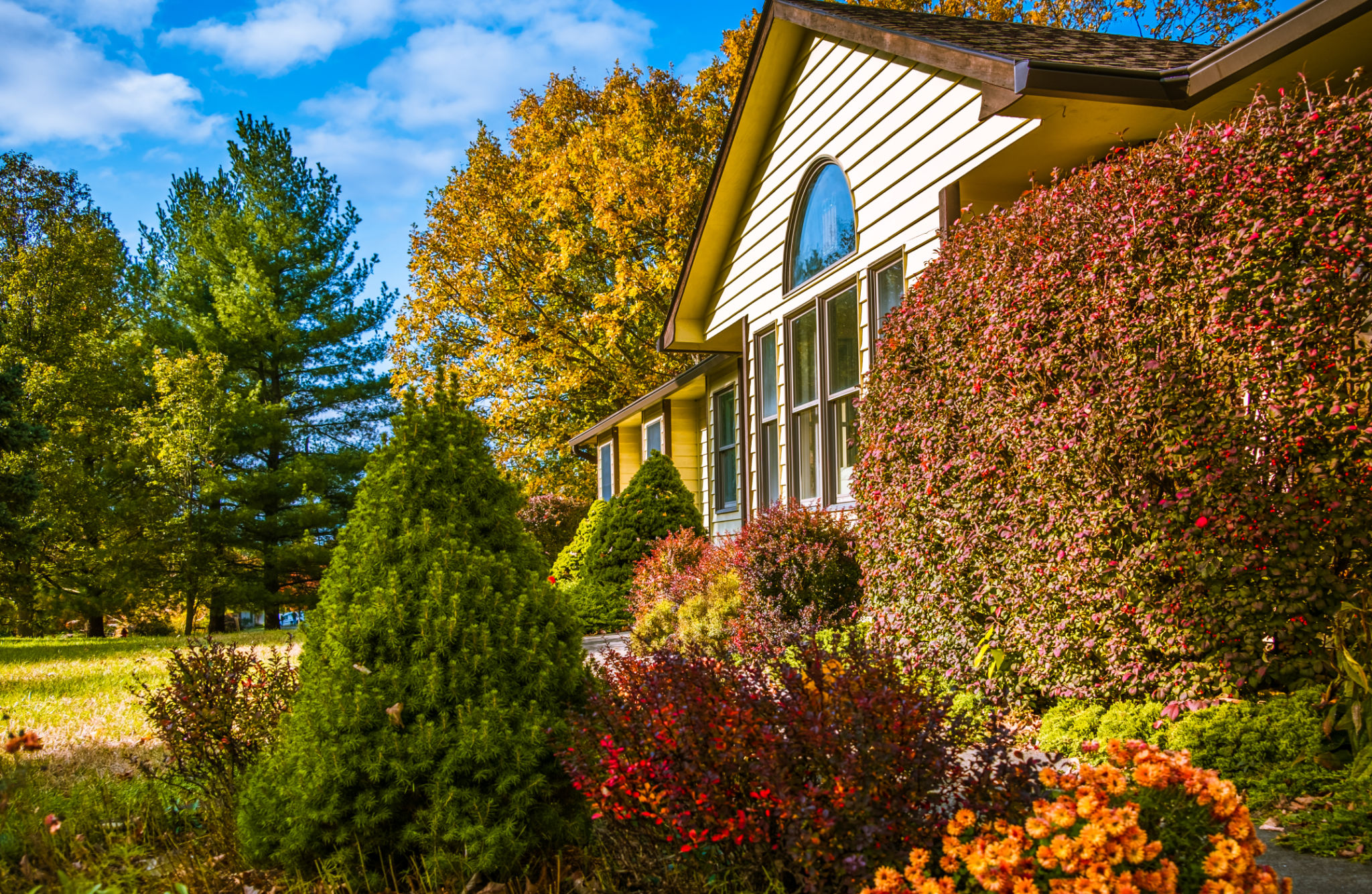 fall real estate