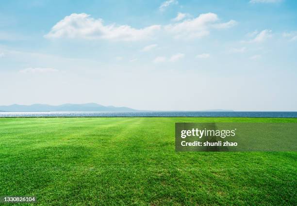 lawn by the sea - sky background stock-fotos und bilder