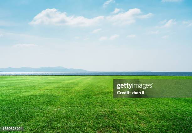 lawn by the sea - zona de prados fotografías e imágenes de stock