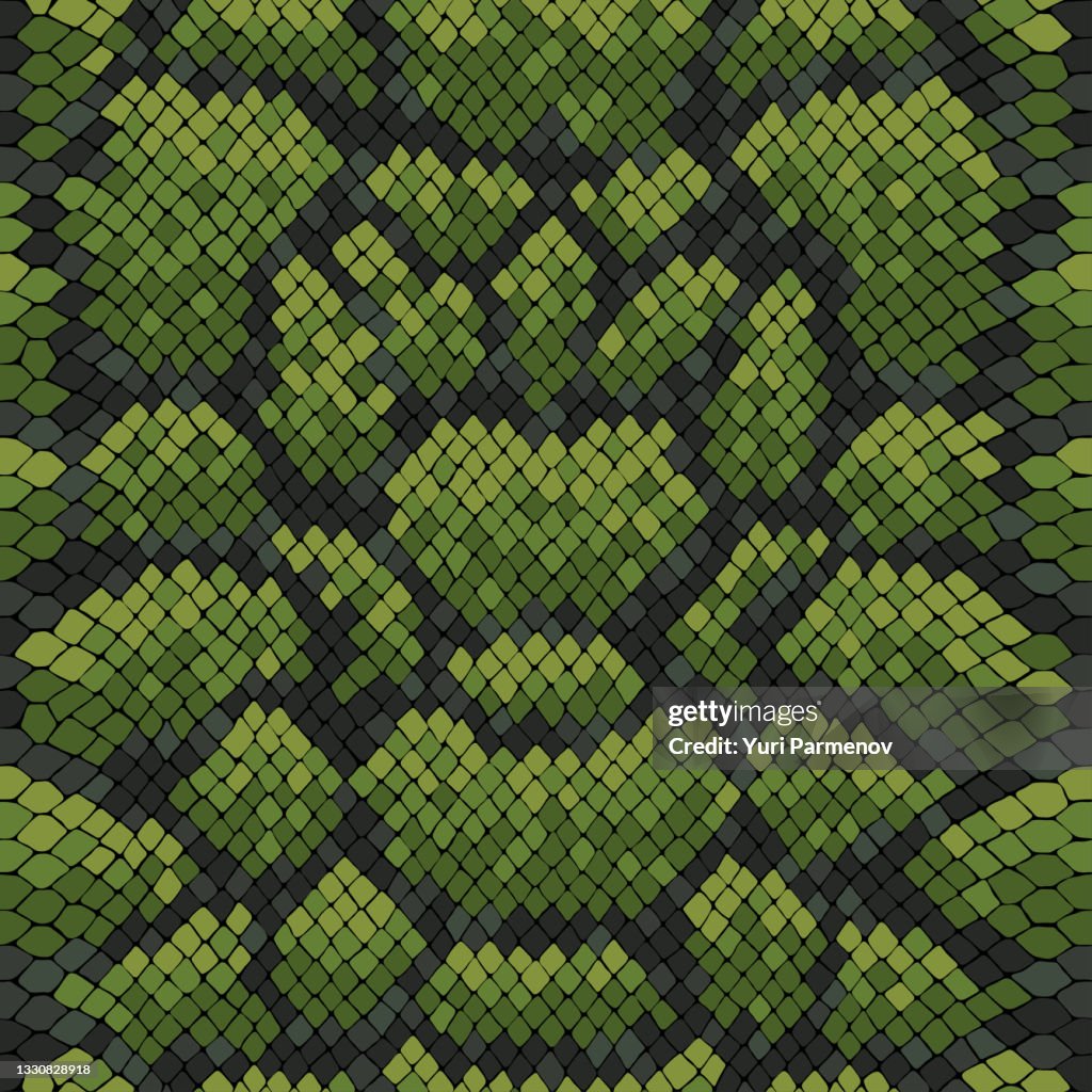 Python Skin Texture Green Tone Colors Snake Pattern Ornament For ...