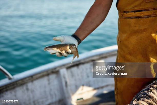 pescador comercial que posee sepia a bordo de un arrastrero - sepia fotografías e imágenes de stock