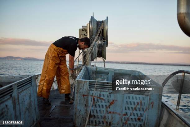 caucasian fisherman working with trawl net in early morning - fishing boats stock pictures, royalty-free photos & images
