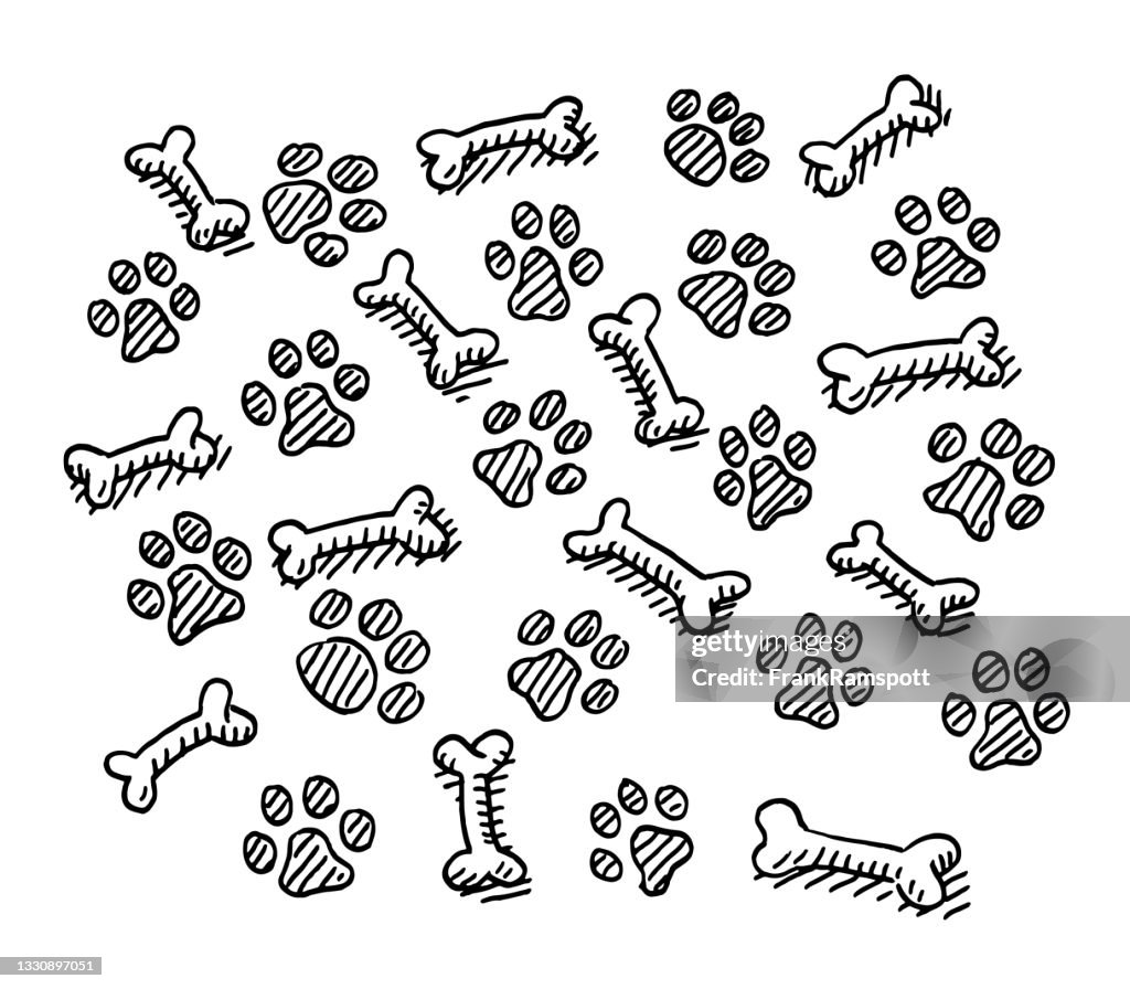 Dog Paw And Bone Pattern Drawing