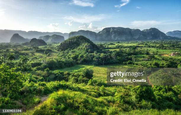 coucher de soleil dans la vallée de viñales, cuba - mogotes photos et images de collection
