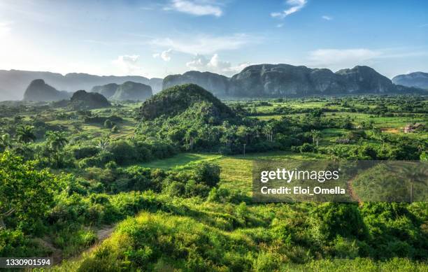 coucher de soleil dans la vallée de viñales, cuba - cubain photos et images de collection