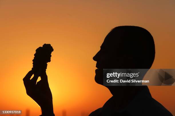 Israeli farmer Oren Sela inspects a bunch of Sauvignon Blanc white wine grapes at sunrise the start of the harvest on July 27, 2021 in Tabor Winery's...