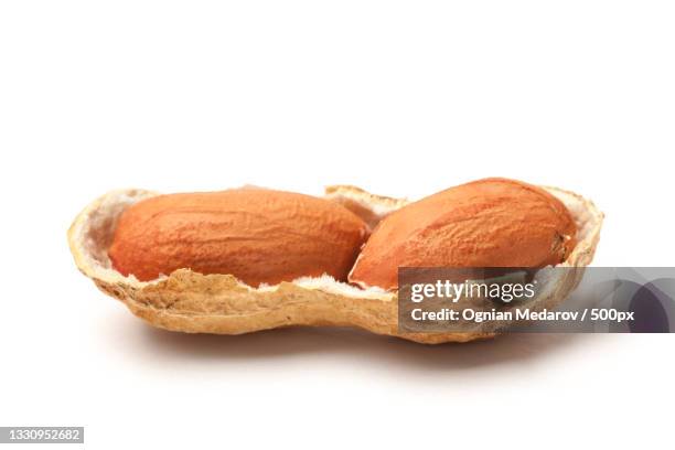 Open Nut Shell Open Nutshell Photos and Premium High Res Pictures - Getty Images