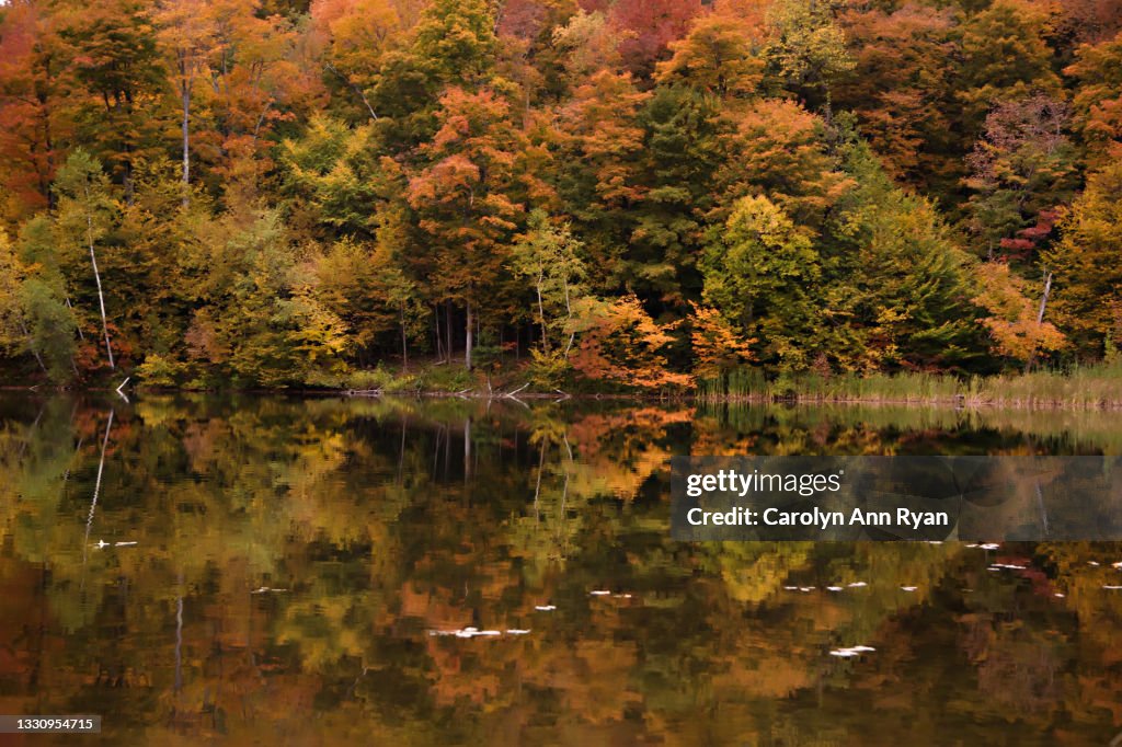 Fall Foliage Reflected in a Vermont Lake