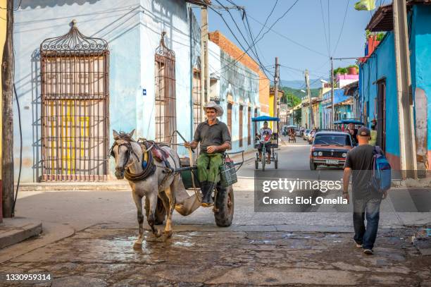 ein mann in seiner pferdekutsche in trinidad - trinidad stock-fotos und bilder