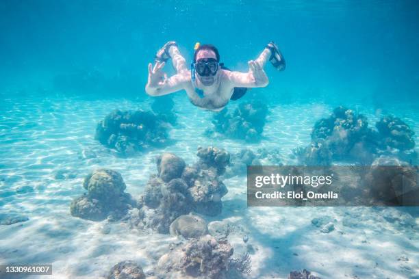 snorkeling in the caribean. cuba - snorkel stock pictures, royalty-free photos & images