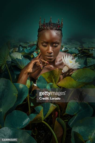 a black female princess and the frog fairy tale - the fairy queen stock pictures, royalty-free photos & images