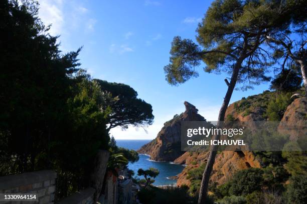 beach la ciotat south of france - south of france stock-fotos und bilder