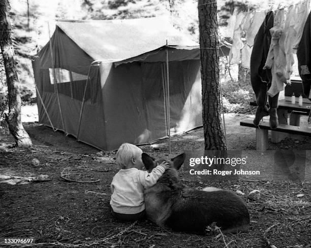 boy and his dog on ground - archival camping stock pictures, royalty-free photos & images